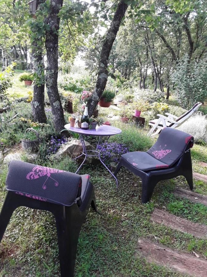 Apartments Bijou With Big Private Garden Near Umag Vilanija Екстер'єр фото