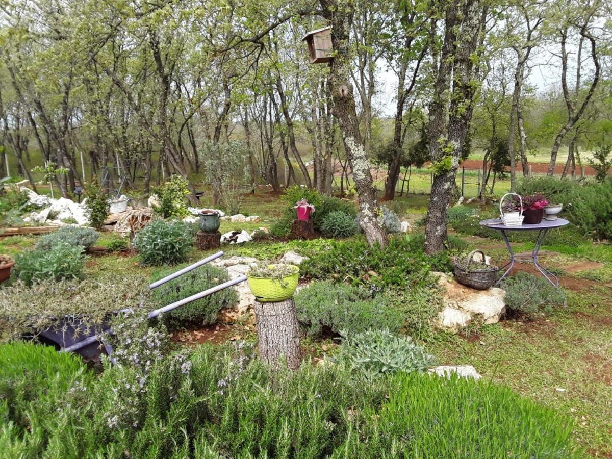 Apartments Bijou With Big Private Garden Near Umag Vilanija Екстер'єр фото
